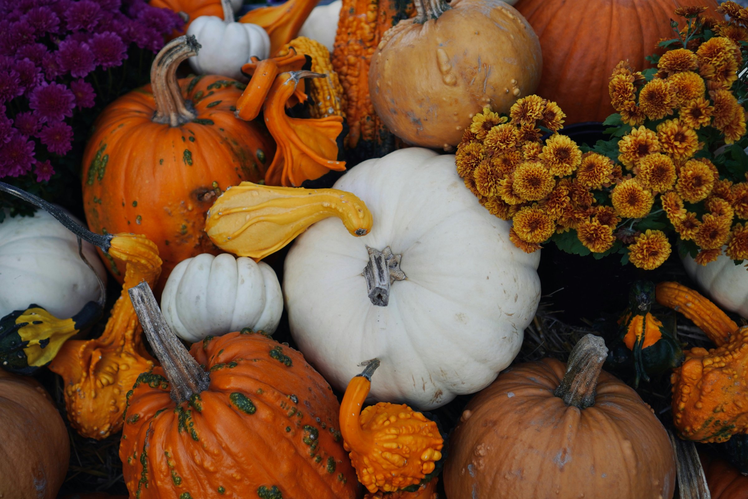 Northern VA Wholesale Growers Market Sept 19